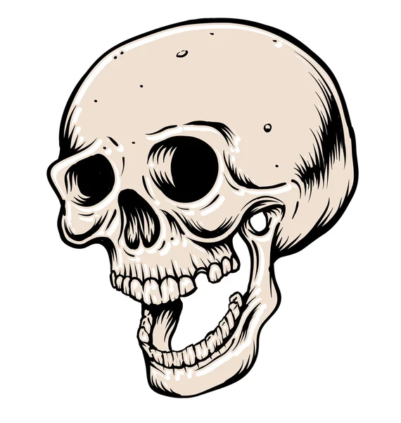 Capul craniului — Vector de stoc