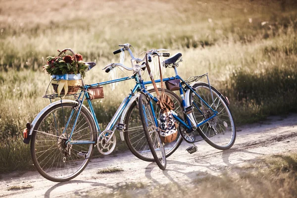 Bisiklet ve gün batımında çiçek güzel manzara resim — Stok fotoğraf