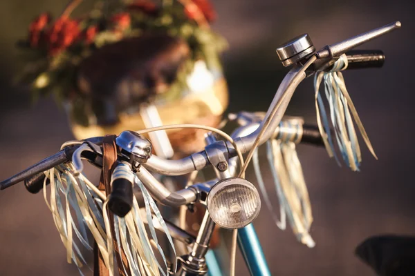 자전거와 석양에 꽃 아름 다운 풍경 이미지 — 스톡 사진