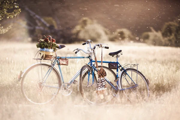 Hermosa imagen de paisaje con bicicleta y flor al atardecer Imágenes De Stock Sin Royalties Gratis