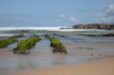 Furnas plajı uzun pozlama resimlerinde Galiçya 'da mavi bir gökyüzünün altında yeşil deniz yosunlarıyla kaplı geniş kayalar görülüyor.