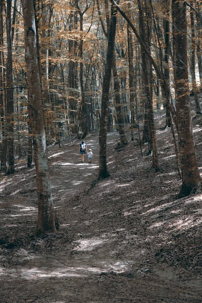 Anya Fia Egy Gyönyörű Erdőben Túráznak Ősszel — Stock Fotó
