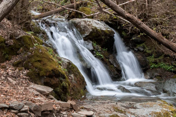 Cascata Una Foresta Nel Parco Animale Del Mollo Catalogna — Foto Stock