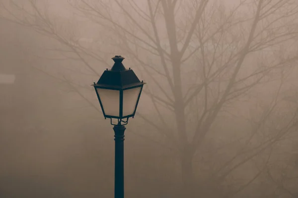 背景に霧と木のシルエットに囲まれた街灯 — ストック写真