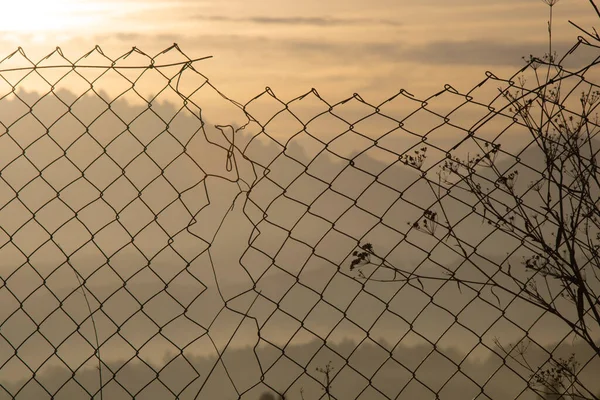 Gebroken Metalen Hek Een Plant Met Oranje Zonsopgang Kleur Zon — Stockfoto