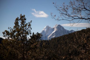 Manzara önplanda bazı ağaçları gösteriyor Katalonya 'daki Cadi dağlarında Pedraforca adı verilen karlı bir dağ.