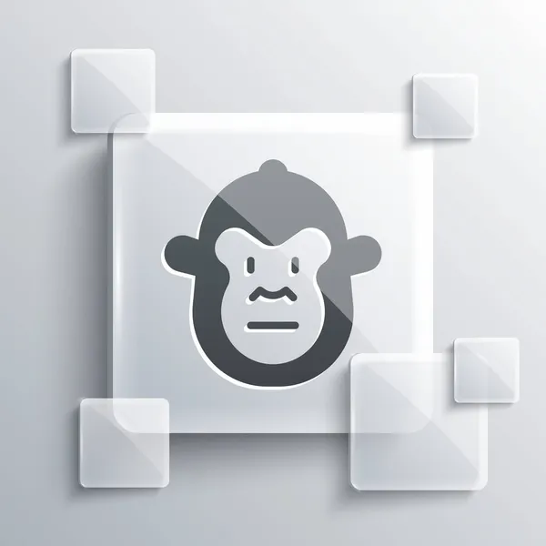 Graue Affe Symbol Isoliert Auf Grauem Hintergrund Tierisches Symbol Quadratische — Stockvektor