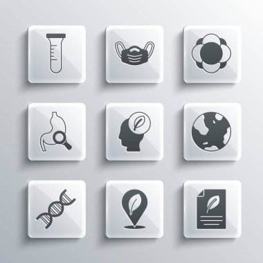 Yaprak, eko kağıt, dünya küresi, içinde insan kafası, DNA sembolü, mide büyüteci, test tüpü, matara ve molekül ikonu olan bir yer ayarla. Vektör