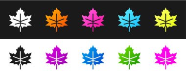 Yaprak simgesini siyah beyaz arkaplanda izole et. İşaret bırakıyor. Taze doğal ürün sembolü. Vektör.