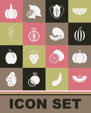 Kavun, balkabağı, karpuz, lahana, domates, ıspanak, sarımsak ve ikon. Vektör