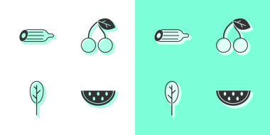 Karpuz, taze salatalık, ıspanak ve kiraz ikonu. Vektör