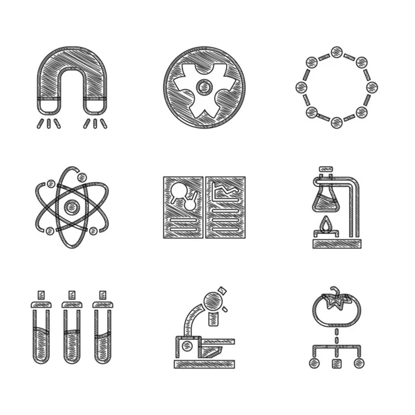 Klinik rekorunu, mikroskobu, genetiği değiştirilmiş yiyeceği, deney tüpünü, Reaktif şişeyi, Atom 'u, Kimyasal formülü ve mıknatıs ikonunu hazırla. Vektör
