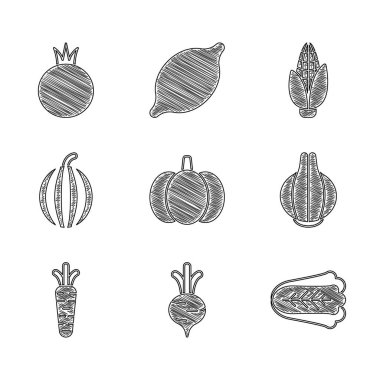 Balkabağı, pancar, lahana, soğan, havuç, karpuz, mısır ve domates ikonu. Vektör