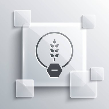 Gri arkaplanda gri glütensiz tahıl ikonu var. Buğday işareti yok. Yiyecek hoşgörüsüzlüğü sembolleri. Kare cam paneller. Vektör