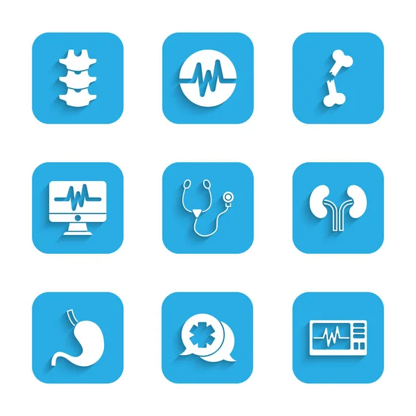 Set Estetoscopio Diálogo Con Médico Monitor Cardiograma Riñones Humanos Estómago — Archivo Imágenes Vectoriales