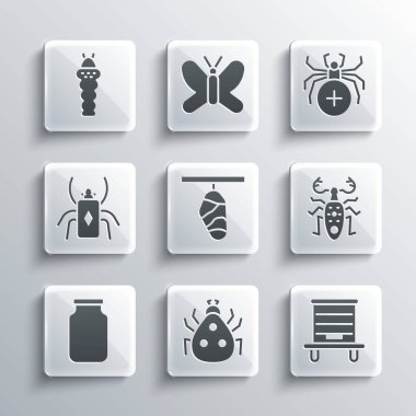 Uğur böceği, arı kovanı, böcek geyiği, kelebek kozası, cam kavanoz, larva böceği ve örümcek ikonu. Vektör