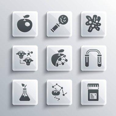Genetik olarak modifiye edilmiş gıdalar, katkı maddeleri ile kavanoz, test tüpü ve matara, biyolojik yapı, bitki yetiştirme, klonlama, elma ve hücre ikonu. Vektör