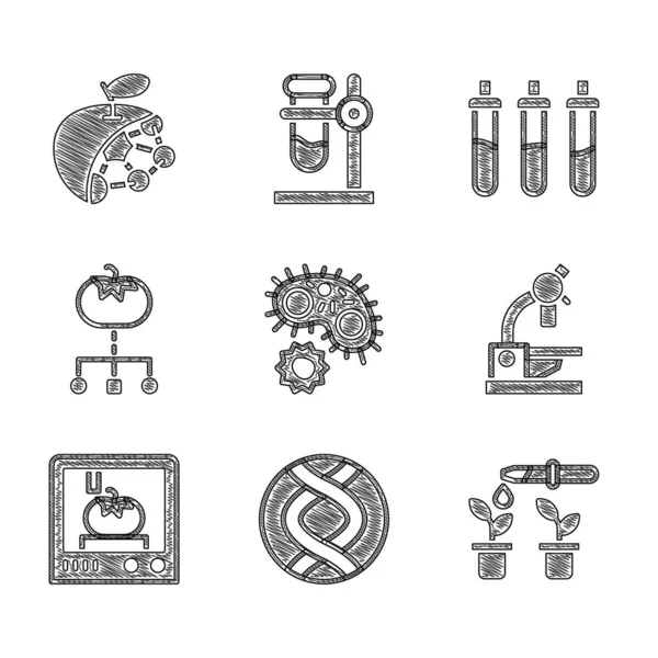 Set Virus, símbolo de ADN, pipeta y planta, microscopio, tecnología de impresión 3D, alimentos modificados genéticamente, botella de reactivo e icono de estructura biológica. Vector — Archivo Imágenes Vectoriales