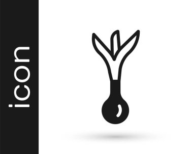 Siyah Soğan simgesi beyaz arkaplanda izole edildi. Vektör