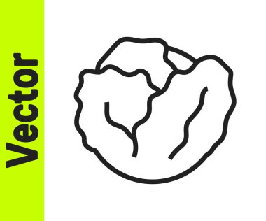 Siyah çizgi taze lahana sebze ikonu beyaz arka planda izole edilmiş. Vektör