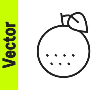 Siyah çizgi turuncu meyve ikonu beyaz arkaplanda izole edilmiş. Vektör