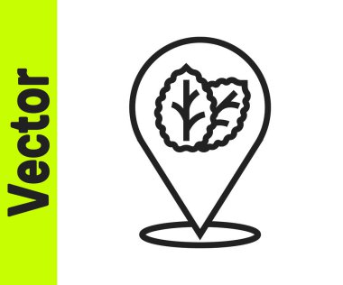 Beyaz arkaplanda siyah çizgi tütün yaprağı simgesi izole edildi. Tütün yaprakları. Vektör