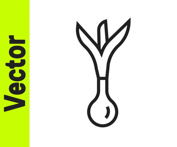 Schwarze Linie Onion Symbol Isoliert Auf Weißem Hintergrund Vektor — Stockvektor