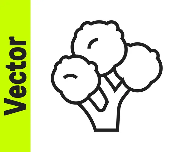 Línea Negra Icono Brócoli Aislado Sobre Fondo Blanco Vector — Vector de stock