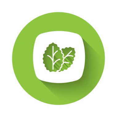 Beyaz Tütün yaprağı ikonu uzun gölge arkaplan izole. Tütün yaprakları. Yeşil daire düğmesi. Vektör