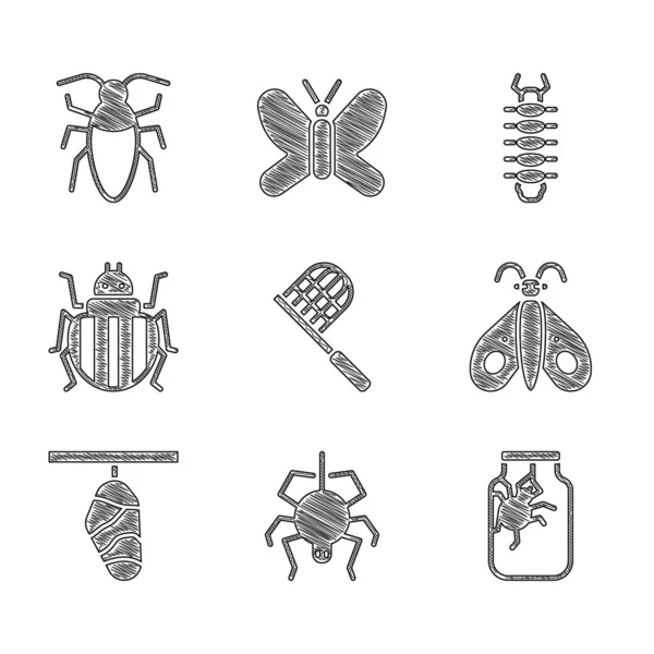 Set Filet papillon, araignée, dans un bocal, un cocon, un doryphore, un mille-pattes et une icône de cafard. Vecteur — Image vectorielle