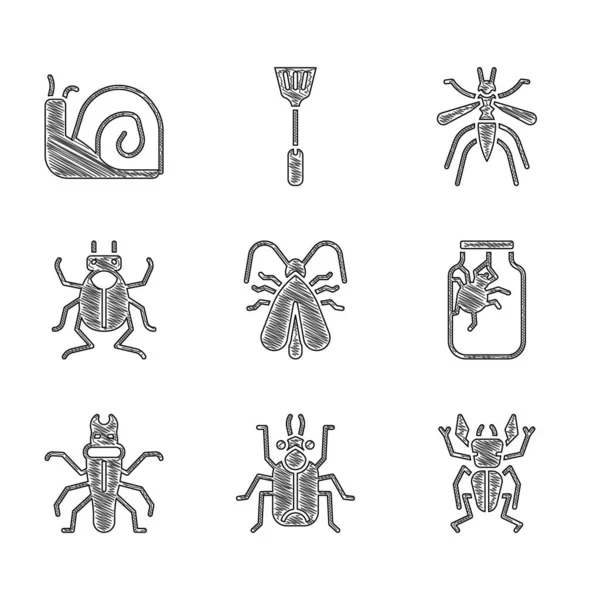 Set Vêtements teigne, insecte scarabée, cerf, araignée dans un bocal, termite, moustique et l'icône de l'escargot. Vecteur — Image vectorielle