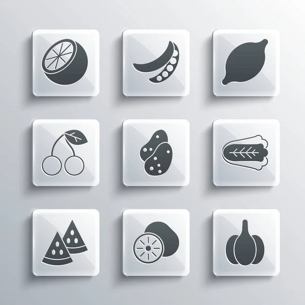 Set Kiwi-Früchte, Knoblauch, Kohl, Kartoffeln, Wassermelone, Kirsche, Orange und Zitrone Symbol. Vektor — Stockvektor