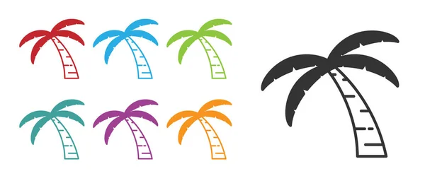 Zwarte Tropische palmboom pictogram geïsoleerd op witte achtergrond. Kokosnoot palmboom. Stel pictogrammen kleurrijk. Vector — Stockvector