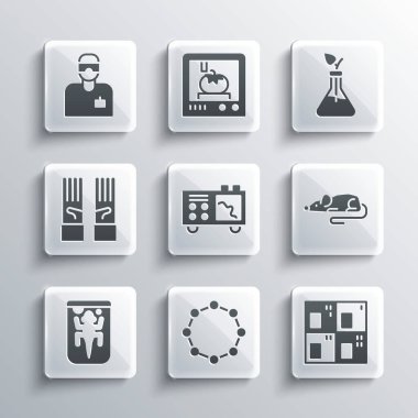 Kimyasal formülü, periyodik tabloyu, deneysel fareyi, spektrometreyi, hayvanı, tıbbi lastik eldivenleri, laboratuvar asistanını ve bitki yetiştirme ikonunu ayarla. Vektör