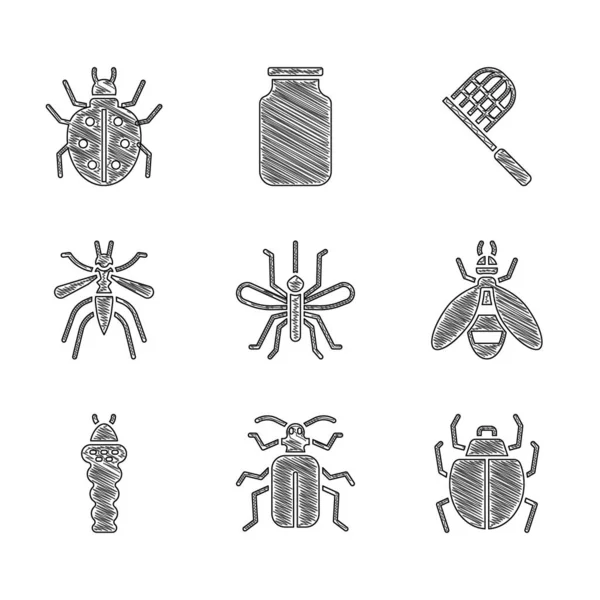 Set Moustique, Chafer scarabée, acarien, abeille, insecte larve, filet papillon et icône. Vecteur — Image vectorielle