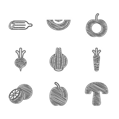 Saf soğan, erik meyvesi, mantar, havuç, portakal, pancar, şeftali ve taze salatalık ikonu. Vektör