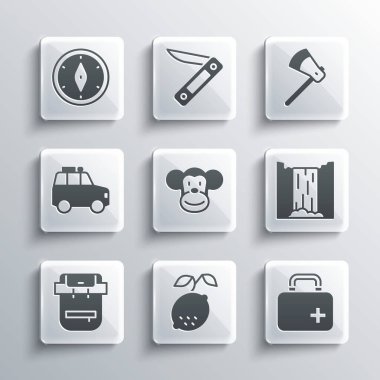 Lemon, ilk yardım çantası, şelale, maymun, yürüyüş çantası, araba, pusula ve tahta balta ikonu. Vektör