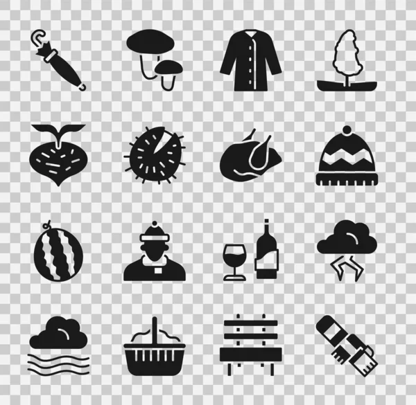 Téli sál, Vihar, kalap, esőkabát, Gesztenye, Cékla, Esernyő és sült pulykás csirke ikon. Vektor — Stock Vector