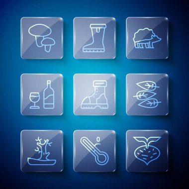 Safra ağacı, Meteoroloji termometresi, pancar, kirpi, su geçirmez lastik bot, cam kaplı şarap şişesi, mantar ve yaprak yaprağı ikonu. Vektör