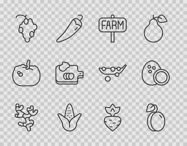 Set line Gyömbér gyökér, Szilva gyümölcs, Helyszín farm, Kukorica, Szőlő, Vágódeszka zöldségekkel, Fehérrépa és kókusz ikon. Vektor — Stock Vector