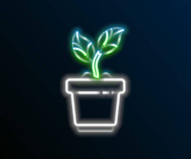 Parlayan neon hattı. Esrar ikonundaki bitki siyah arkaplanda izole edilmiş. Tencerede yetişen bir bitki. Saksı bitkisi işareti. Renkli taslak konsepti. Vektör