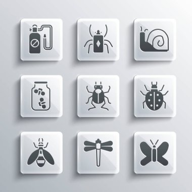 Set Dragonfly, Butterfly, Mite, Beetle bug, Fireflies bugs in jar, Pressure sprayer and Snail icon. Vector
