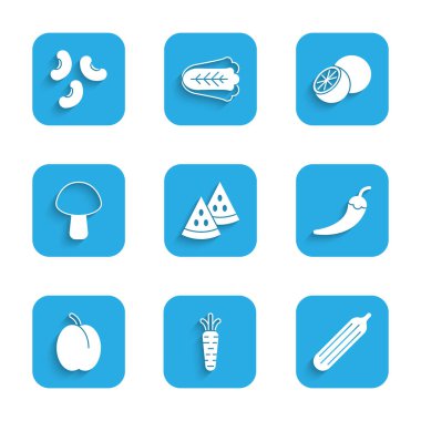 Set Watermelon, Carrot, Fresh cucumber, Hot chili pepper pod, Plum fruit, Mushroom, Orange and Beans icon. Vector