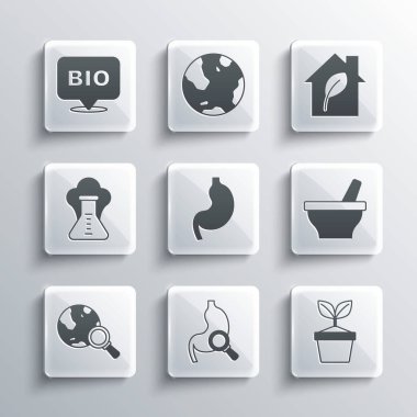 Set Stomach with magnifying glass, Plant pot, Mortar and pestle, Human stomach, Magnifying globe, Chemical explosion, Bio healthy food and Eco friendly house icon. Vector