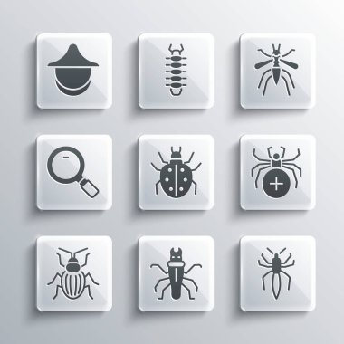 Set Termite, Spider, Mite, Chafer beetle, Magnifying glass, Beekeeper hat and Mosquito icon. Vector