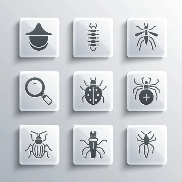 Set Termite, Spider, Mite, Chafer beetle, Magnifying glass, Beekeeper hat and Mosquito icon. Vector — Vetor de Stock