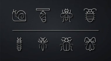 Set line Snail, Centipede, Larva insect, Chafer beetle, Spider, Butterfly cocoon, Clothes moth and Insect icon. Vector