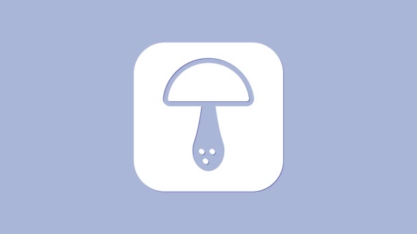 Иконка белого гриба выделена на фиолетовом фоне. Видеографическая анимация 4K — стоковое видео