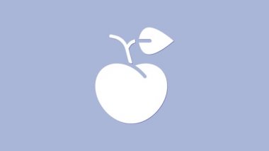 Mor arka planda yaprak ikonu olan beyaz şeftali ya da nektarin. 4K Video hareketli grafik canlandırması