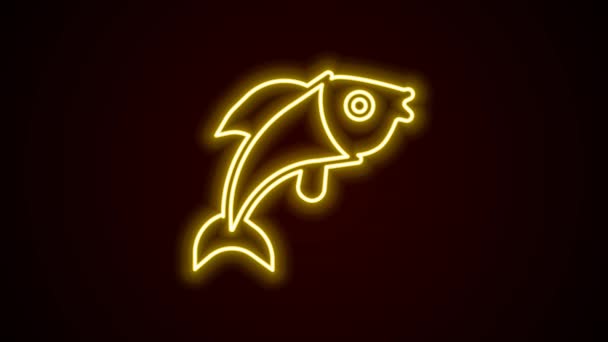 Glowing neon line Fish icon isolated on black background. 4K Video motion graphic animation — Stock Video